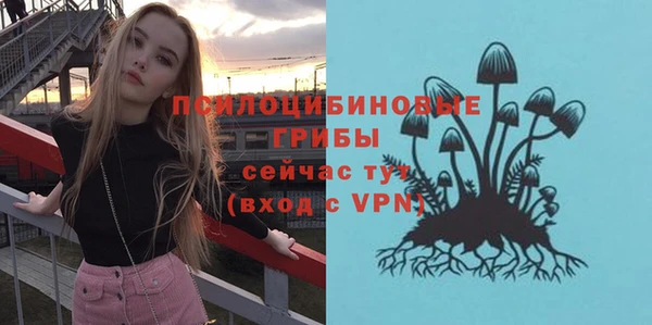PSILOCYBIN Алексин