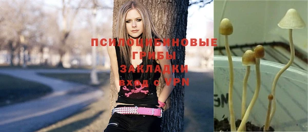 спиды Алексеевка