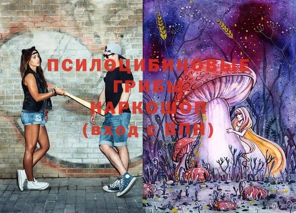 дмт Абинск