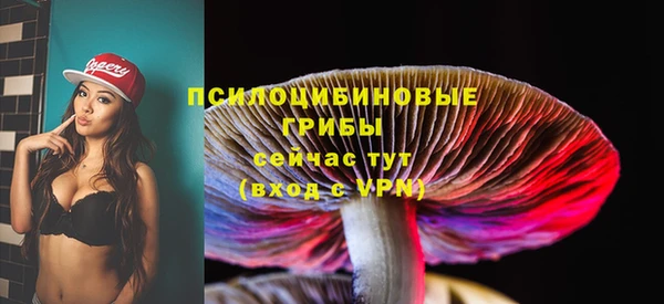 прущая мука Алзамай